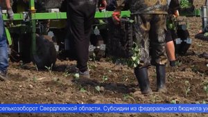 Более 18 тысяч гектаров земель Среднего Урала изменят свой статус