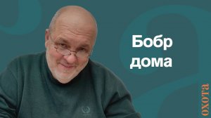 Бобер дома. Валерий Кузенков, что делать, если бобр рядом.