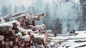 Лесоповал (перепевка,кавер-версия) из репертуара группы "Лесоповал"