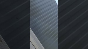 Сашины забеги