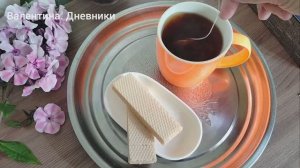 18.08.2025 В теплице все зеленое зеленое. а на календаре почти осень. Дождь.