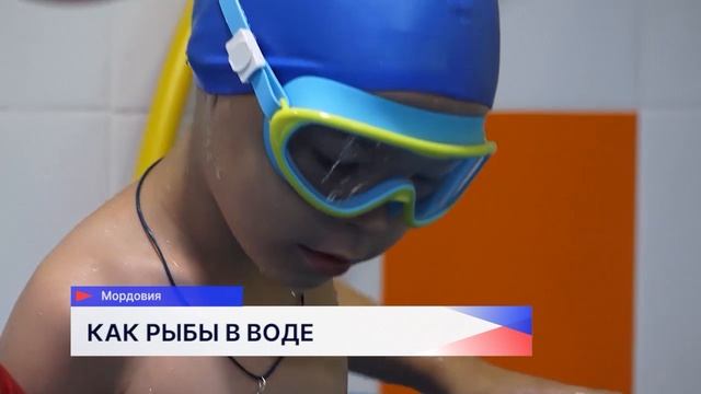 Новости "Волга 24" 14.08.2025 19:00