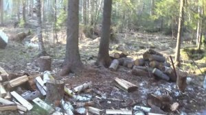 май.изба.заготовка дров