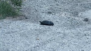 Про жизнь и про любовь!