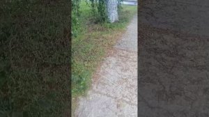 ➡ Из портпосëлка до нашего дома
