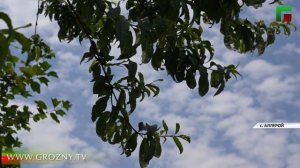 Полный выпуск новостей от 18.08.2025