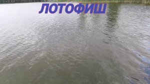 YouCut_20250819_181605180