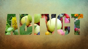 Урок 8.2. Создаем  эффект "Видео в буквах"