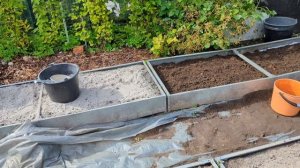 24-08-2025.Дача.Грядки  готовы..Ежевику решили убирать.