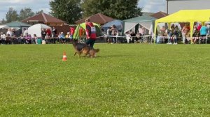 7 Отл. VARVARA Arbeit's Aristokraten +++ №352. Главная выставка немецких овчарок России 2025