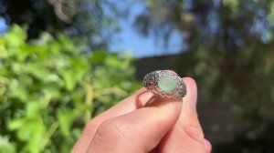 САМОЦВЕТЫ В ОГРАНКЕ 🌺 22.08.2025