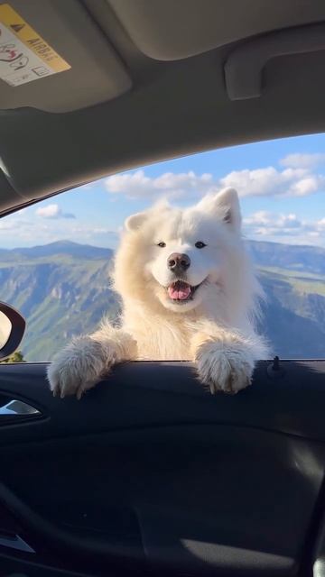 Скачать видео ➡️➡️➡️ в т. Г. https://t.me/cartolega смотреть онлайн