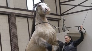 Трюковое состязание "МАСТЕР-БАТТЛ КОННЫХ АРТИСТОВ" на Х "Конной России" 28 сентября 2025