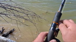 Рыбалка на Оби. Щука и окунь. Судак в отпуске