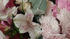 🏡 Купили мясорубку. Опять закатки 👍🥰