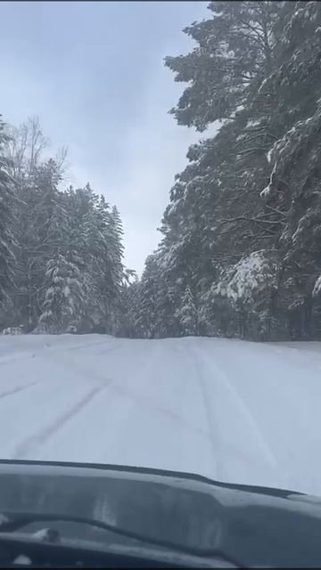 влесукрасиво смотреть онлайн