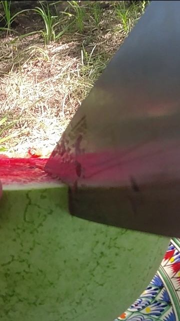 Арбуз 🍉 смотреть онлайн