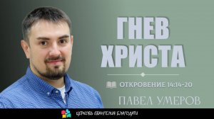 Гнев Христа l Откровение 14:14-20 l Павел Умеров