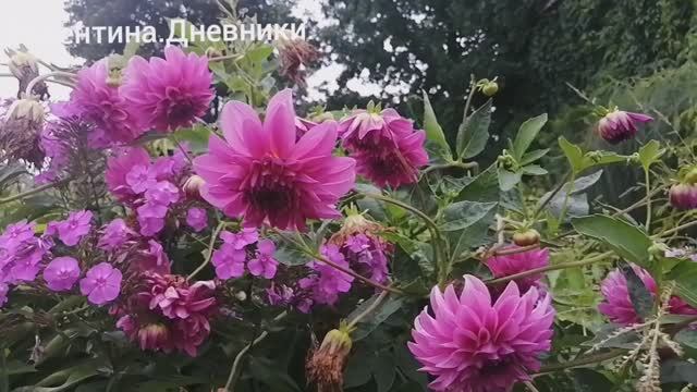 16.08.2025 Мой день. Лайфстайл