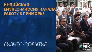Индийская бизнес-миссия начала работу в Приморье
