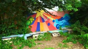 элли ди кюрасао