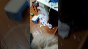 УЛЫБАЮЩИЙСЯ КОМНАТА В РЕАЛЬНОЙ ЖИЗНИ! ЗАЯЦ В ШОКЕ!