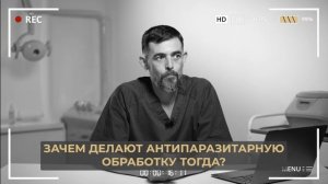5 самых распространенных видов паразитов, которые живут в теле человека