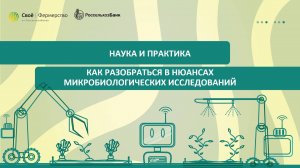Наука и практика: как разобраться в нюансах микробиологических исследований