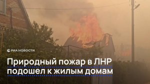 Природный пожар в ЛНР подошел к жилым домам