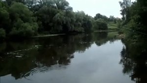 VID-20250819-WA0004.mp4