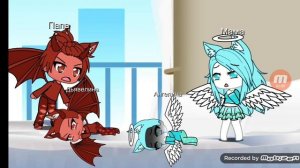 колаб с Raccoon_Richi