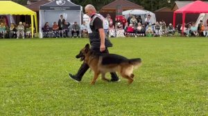 1 Отл. Steel Inside VOORHEES ++- №92. Главная выставка немецких овчарок России 2025