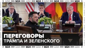 Переговоры Трампа и Зеленского пройдут в Белом доме - Москва 24