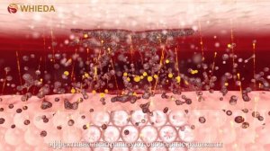 АКТИВАТОР КЛЕТОК +  #террагерцеваяволна