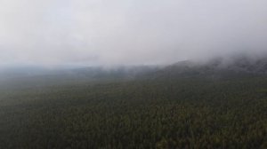 Трейлер фильма «Заповедник Вишерский»