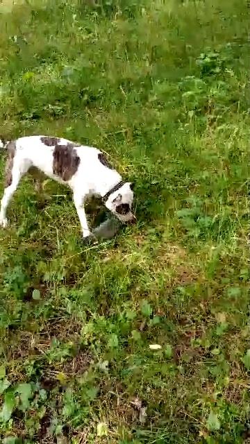 19-08-2025 смотреть онлайн