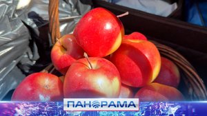 ⚡️ Поддержка Защитников в священный праздник от активисток Женского движения «Единой России»