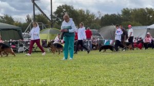 Группа производительницы Аллемо Хаус ТЬЮНА / ПК Главная моно немецких овчарок 2025