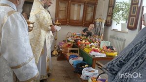 выпуск от 19.08.25.Косыревка. Освещение плодов.