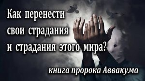 26.03.2023 "Как перенести свои страдания и страдания этого мира?" Крушедольский Сергей
