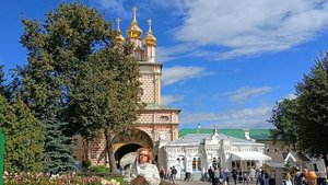 ВАСИЛЬКОВАЯ РУСЬ