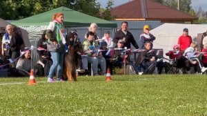 7 Отл. Ирендорф ВУЛКАН +++ №285. Главная выставка немецких овчарок России 2025