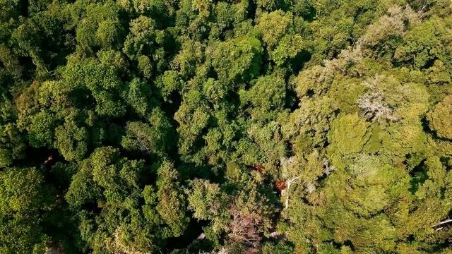 Как уснуть за 2 минуты. Секретная методика! смотреть онлайн