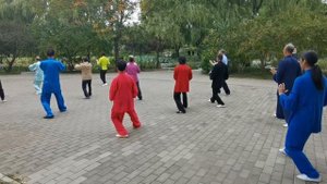 Yang's Tai Chi 85 Утренних упражнений (Консультационный центр Цинь Ланьлин Тайцзи)
