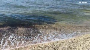 КРЫМ Керчь село Курортное сегодня 19 августа 2025. Море и погода в Крыму сейчас. Обстановка на пляже