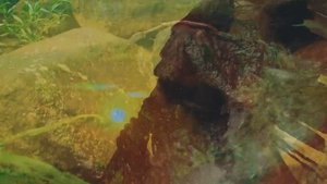 Alexandro Querevalú - White Arrows(720P_HD)