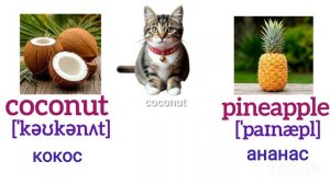 Спотлайт 4 класс Урок 5 lemon, mango, beans, butter, coconut, flour, pineapple, olive oil, sugar...