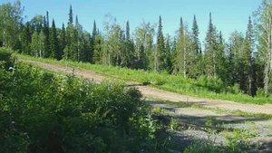 Летом на горе Мустаг в Шерегеше (Горная Шория).