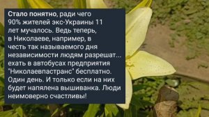 Николаев 19 августа 2025 года (новости)