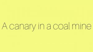 Канарейка в угольной шахте?!?!